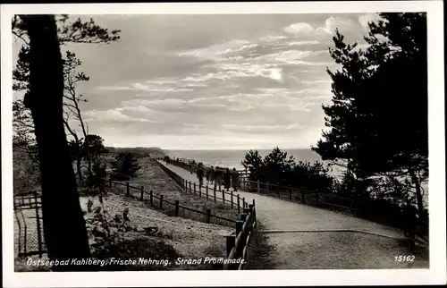 Ak Krynica Morska Kahlberg Ostpreußen, Frische Nehrung, Strandpromenade