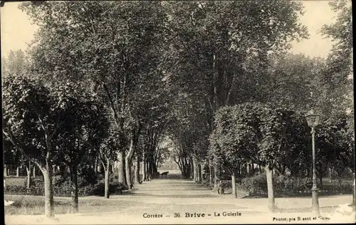 Ak Brive-la-Gaillarde Corrèze, La Guierle