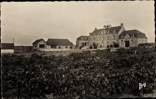 Ak Ingrandes Maine-et-Loire, Chateau de la Bouvraie