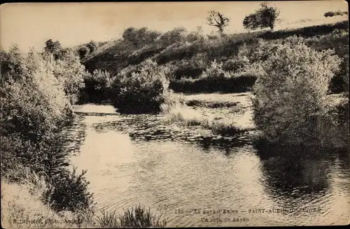 Ak Saint Aubin de Luigné Maine et Loire, Un coin du Layon