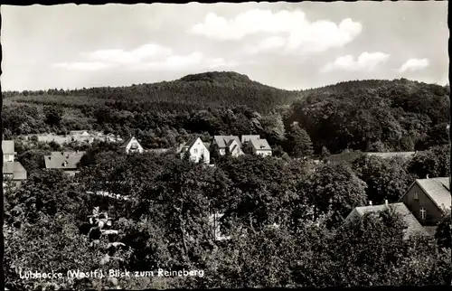 Ak Lübbecke in Ostwestfalen, Reineberg