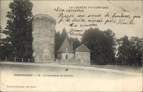 Ak Arnac Pompadour Correze, La Jumenterie de Lariviere