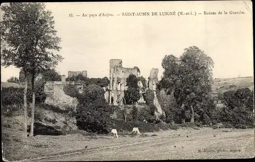 Ak Saint Aubin de Luigné Maine et Loire, Ruines de la Guerche