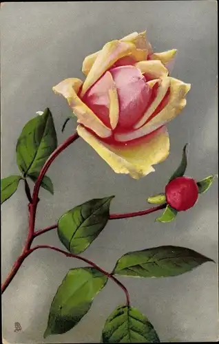 Künstler Ak Einzelne Rosenblüte mit Knospe und Blättern