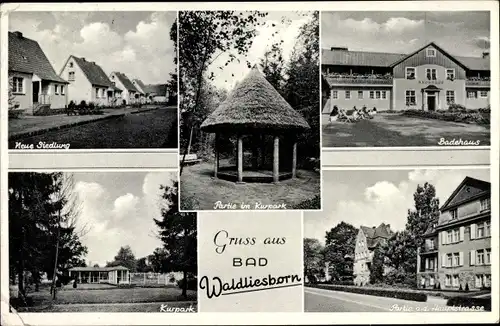 Ak Bad Waldliesborn Lippstadt Nordrhein Westfalen, Badehaus, Kurpark, Neue Siedlung