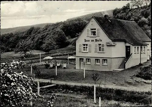 Ak Nistertal Westerwald, Pension Haus am Walde