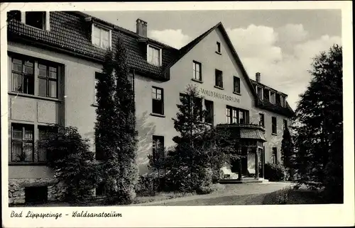 Ak Bad Lippspringe im Kreis Paderborn, Waldsanatorium