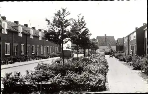 Ak Stellendam Goeree Overflakkee Südholland, Haagsestraat