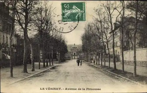 Ak Le Vésinet Yvelines, Avenue de la Princesse