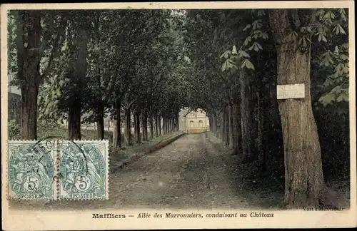 Ak Maffliers Val-d’Oise, Allee des Marronniers, conduisant au Chateau