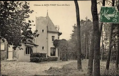 Ak Les Plessis Dorin Loir et Cher, Chateau de Bois Vinet