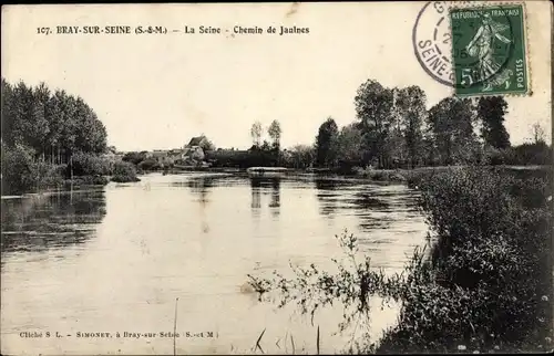 Ak Bray sur Seine Seine et Marne, La Seine, Chemin de Jaulnes