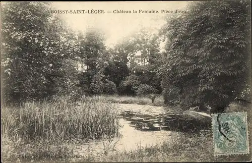 Ak Boissy Saint Leger Val de Marne, Chateau la Fontaine, Piece d'eau