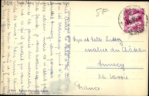 Ak Wil Kt St Gallen Schweiz, Schwanenteich, Panorama vom Ort