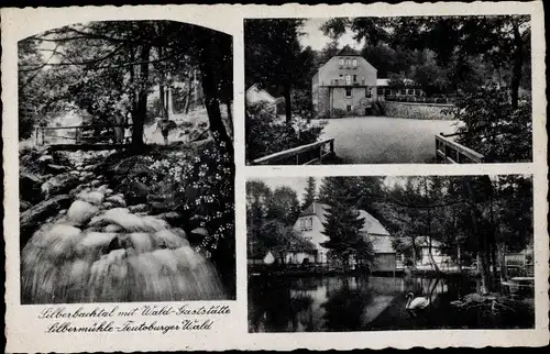 Ak Leopolstal Horn Bad Meinberg, Waldrestaurant und Pension Silbermühle, Teutoburger Wald