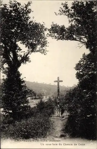 Ak La Chapelle-sur-Vire Troisgots Manche, Un sous bois du Chemin de Croix