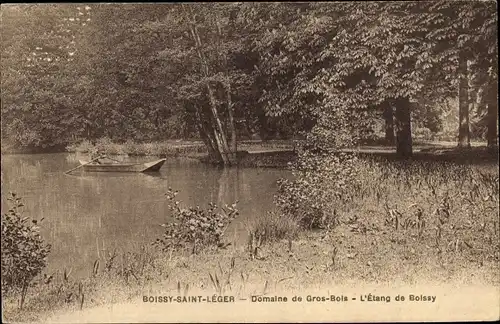 Ak Boissy Saint Leger Val de Marne, Domaine de Gros Bois, L'Etang de Boissy, Ruderboot