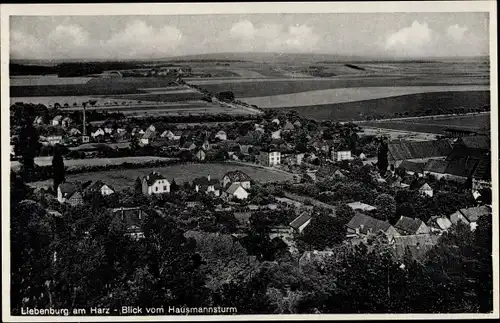 Ak Liebenburg am Harz Niedersachsen, Blick vom Hausmannsturm auf den Ort