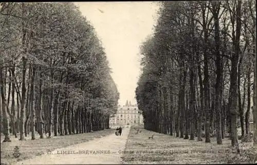 Ak Limeil Brevannes Val de Marne, Grande Avenue du Chateau de Brevannes