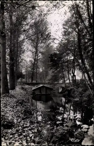 Ak Saint Cyr sur Morin Seine et Marne, Le Petit Morin et le Bateau Lavoir