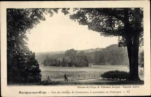 Ak Savigny sur Orge Essonne, Parc du chateau de Grandvaux, panorama de Petitvaux