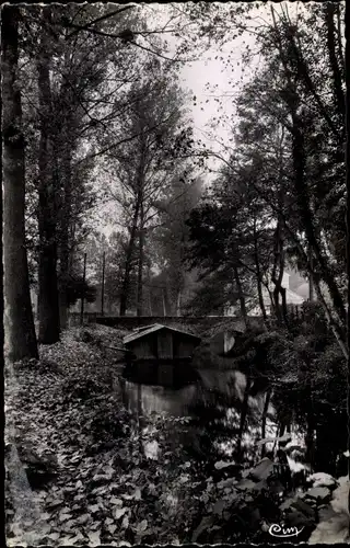 Ak Saint Cyr sur Morin Seine et Marne, Le Petit Morin et le Bateau Lavoir