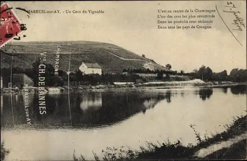 Ak Mareuil sur Ay Marne, Un Coin du Vignoble, Champagne Vve. Ch. Debannes