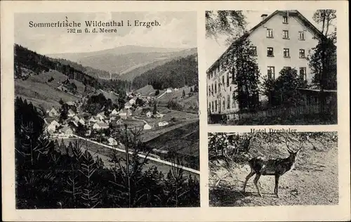 Ak Wildenthal Eibenstock im Erzgebirge, Sommerfrische, Hotel Drechsler, Hirsch