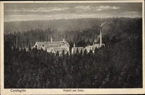 Ak Carolagrün Auerbach im Vogtland, Ansicht von Osten