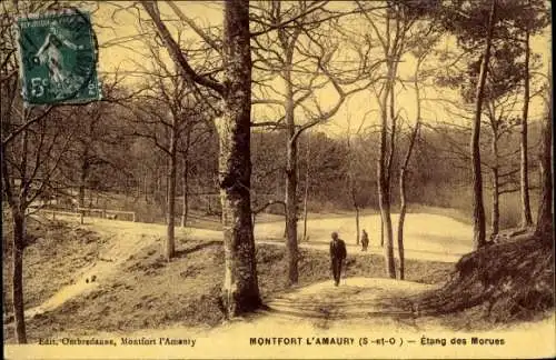 Ak Montfort l'Amaury Yvelines, L'Etang des Morues