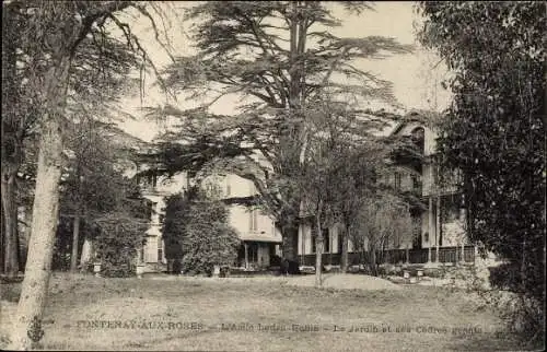 Ak Fontenay aux Roses Hauts de Seine, Asile Ledru Rollin, le jardin et ses cedres geants