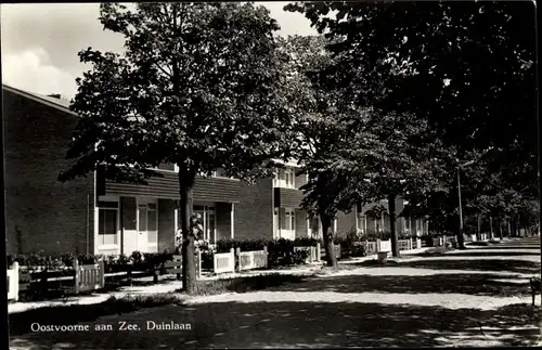 Ak Oostvoorne aan Zee Südholland, Duinlaan