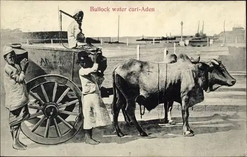 Ak Aden Jemen, Bullock Water Cart
