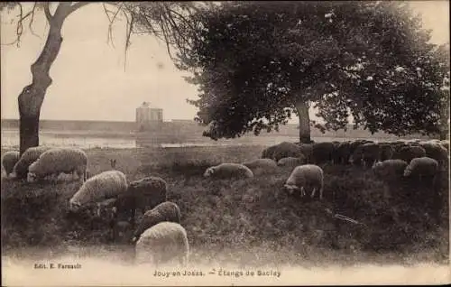 Ak Jouy en Josas Yvelines, Etangs de Saclay