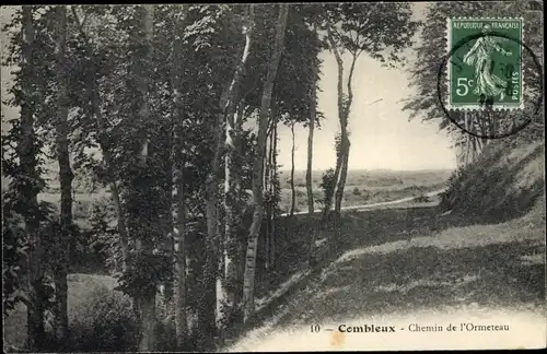 Ak Combleux Loiret, Chemin de l'Ormeteau