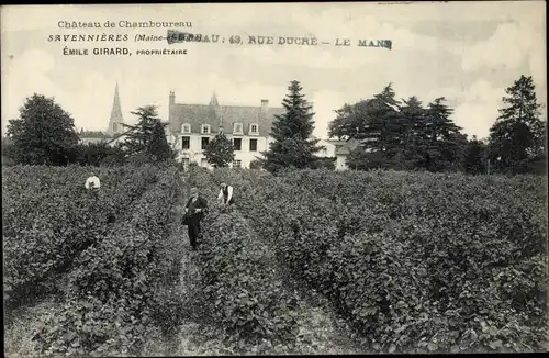 Ak Savennières Maine et Loire, Château de Chamboureau