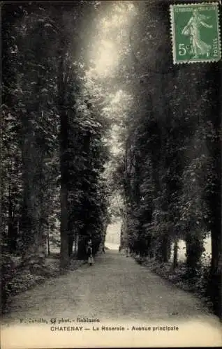 Ak Chatenay Hauts-de-Seine, La Roseraie, Avenue principale