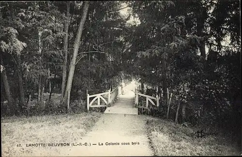 Ak Lamotte Beuvron Loir et Cher, La Colonie sous bois