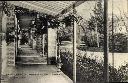 Ak Lamotte Beuvron Loir et Cher, Sanatorium des Pins, la galerie