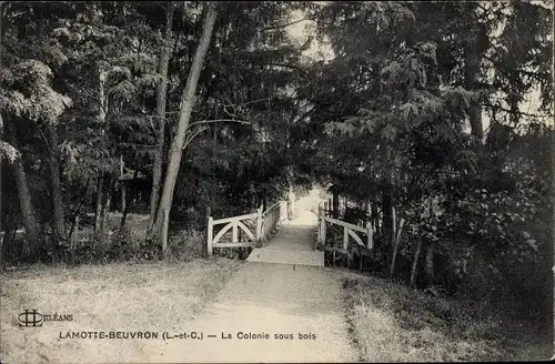 Ak Lamotte Beuvron Loir et Cher, La Colonie sous bois