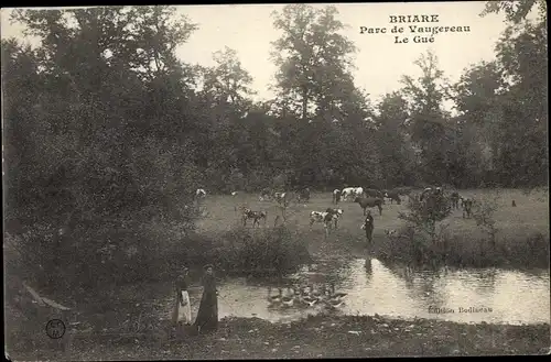Ak Briaire Loiret, Parc de Vaugereau, Le Gue
