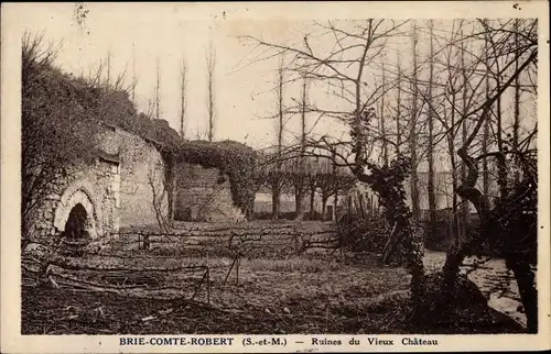 Ak Brie Comte Robert Seine et Marne, Ruine du Vieux Chateau