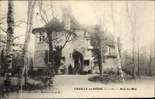 Ak Chailly en Biere Seine et Marne, Bois du Mee