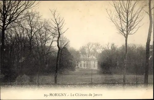 Ak Morigny Essonne, Le Chateau de Joeurs