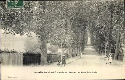 Ak Limay Yvelines, Ile aux Dames, Allee Pricipale