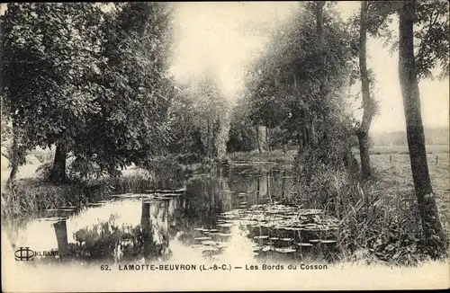 Ak Lamotte Beuvron Loir et Cher, Les Bords du Cosson