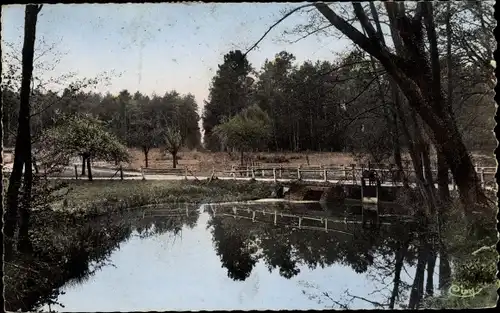 Ak Lamotte Beuvron Loir et Cher, Paysage de Sologne