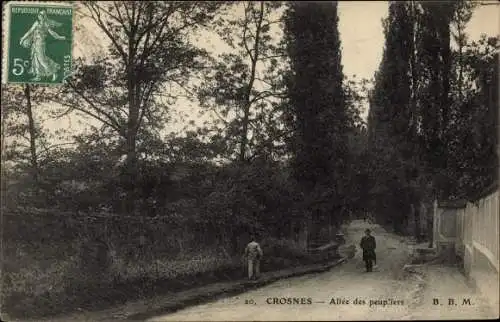 Ak Crosnes Essonne, Allee des peupliers