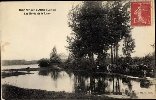 Ak Bonny sur Loire Loiret, Les Bords de la Loire