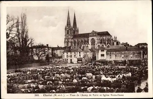 Ak Cholet Maine et Loire, Place du Champ de Foire et Église Notre Dame